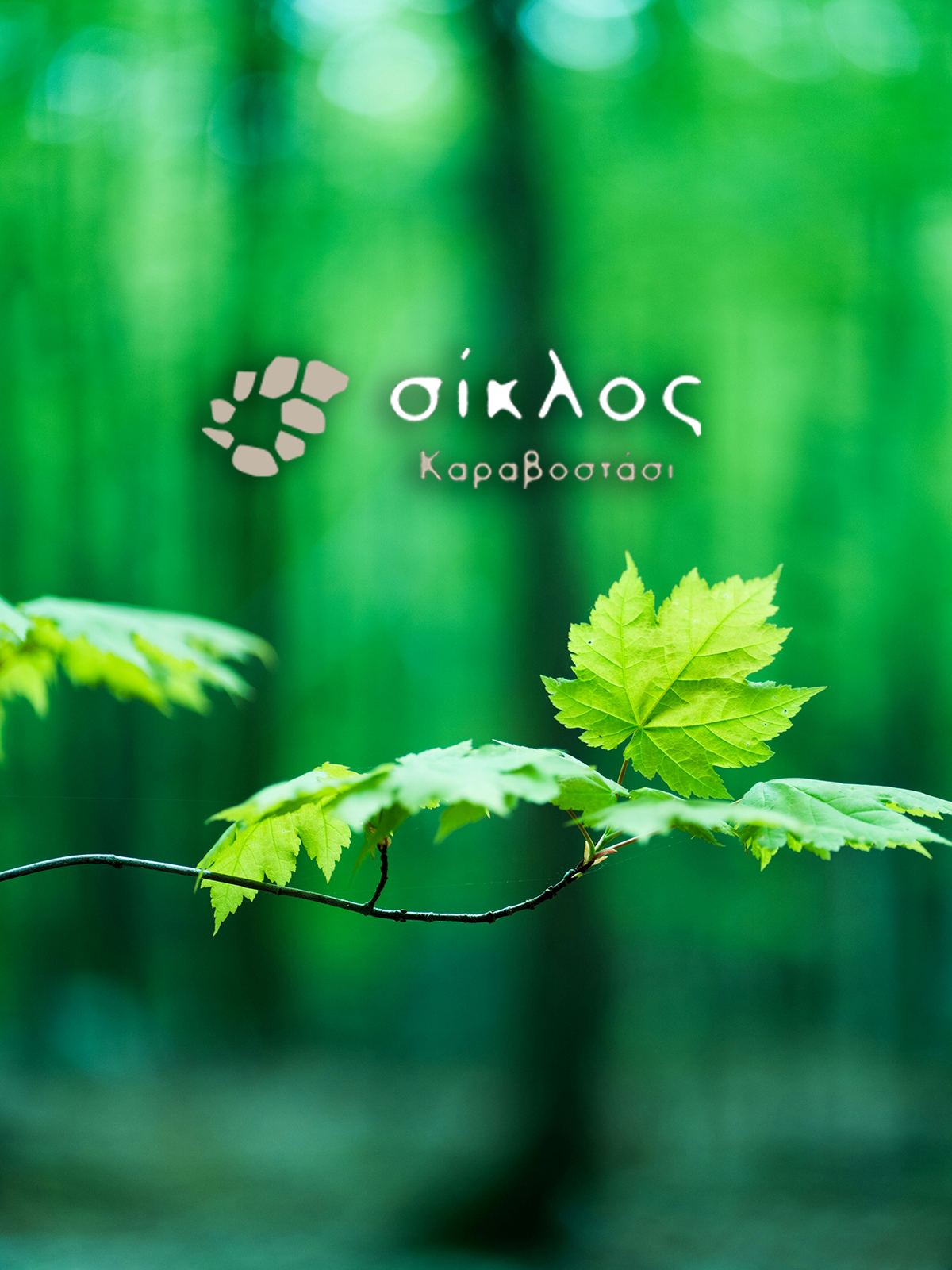 Πράσινα φύλλα και οικολογία στη σουίτα Σίκλος